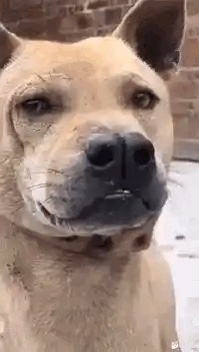 A53C707E-30A4-4C9D-8158-0E97847E1589.jpeg A53C707E-30A4-4C9D-8158-0E97847E1589.jpeg