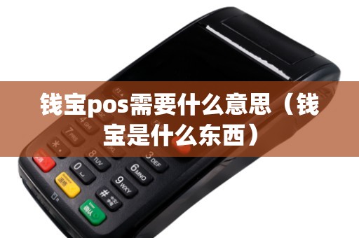 錢寶pos需要什么意思(錢寶是什么東西) 錢寶pos需要什么意思(錢寶是什么東西)