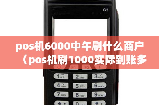 pos機(jī)6000中午刷什么商戶（pos機(jī)刷1000實際到賬多少）